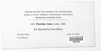 Image Associated With the Occurence